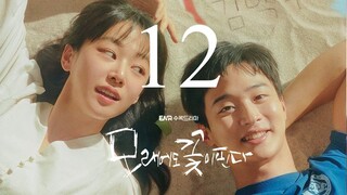 🇰🇷 l E12 Flowers In Sand (2024) FINALE