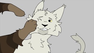 Just take my wallet- tigerclaw and whitestorm animatic