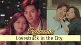 Lovestruck in the City Plot  | Ji Chang-Wook and Kim Ji-Won