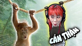 Monkey Ropes | Misthy hét banh cái nhà vì con game đồng đội ức chế nhất năm!