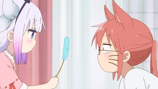 After Thor gave Kobayashi the medicine, Kobayashi turned into—— [Fan drama recommendation]