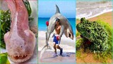 Catching Seafood 🦀 ASMR Relaxing (Catch Shark , Catch Fish ,Deep Sea Monster ) #555