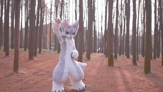 【Fursuit Dance】 Orc Flip Knight Dragon Squad ED Dance ケ ボ ー ン! リ ュ ウ ソ ウ ジ ャ ー Múa trang phục động v