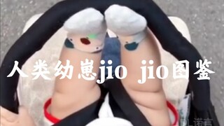 人类幼崽jio jio图鉴