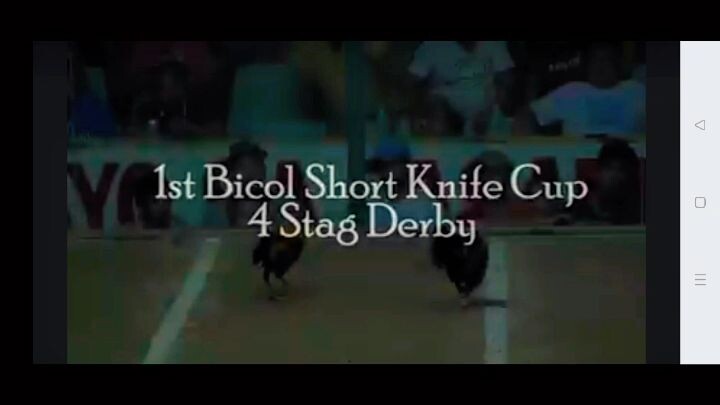 Short Knife Derby Best of the Aces