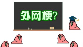【梗百科154】紫衣人？派对鹦鹉？星野源怎么这样就被恶搞了！！！！！？！？？