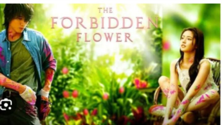 THE FORBIDDEN FLOWER Episode 22 Tagalog Dubbed
