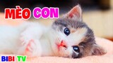 Rửa Mặt Như Mèo - Con Heo Đất - Nhạc Thiếu Nhi Vui Nhộn Remix Cho Bé đớp Ngon