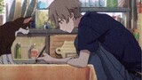 [Mole Manor Detective Conan] Kudo Shinichi Light Shadow