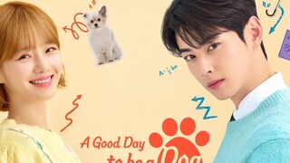 A Good Day To Be a Dog ep1 (Tagalog dubbed)