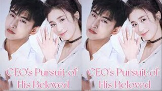 CEO's pursuit of his beloved