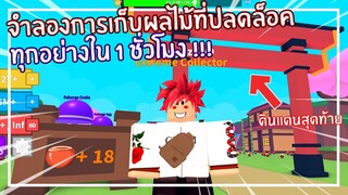 Roblox : Fruit Collecting Simulator  จำลองการเก็บผลไม้ที่ปลดล็อคทุกอย่างใน 1 ชม. EP.1