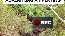 HATI-HATI SAAT MELANGKAH ⁉️