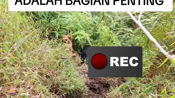 HATI-HATI SAAT MELANGKAH ⁉️