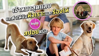 เจ้าหมาบ้า  แกทำให้ฉันร้องไห้ (สปอยหนัง) | Marley&Me : จอมป่วนหน้าซื่อ 2008