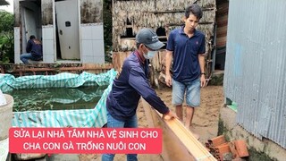 Thợ Sửa Lại Nhà Tắm Nhà Vệ Sinh Cho Gà Trống Nuôi Con