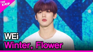 WEi, Winter, Flower (위아이, 겨울, 꽃) [THE SHOW 210309]