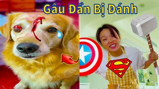 Thú Cưng TV | Gâu Đần và Bà Mẹ #34 | Chó Golden Gâu Đần thông minh vui nhộn | Pets cute smart dog