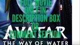 Avatar_ The Way of Water FULL IN THE LINK