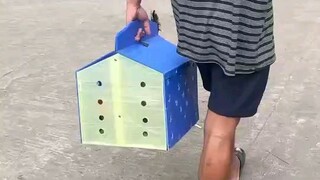 ako p ang ng tari yan