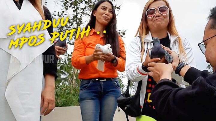 MBAK-MBAK CAKEP PEGANG BURUNG MERPTI POS GESS
