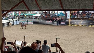 Rodeo