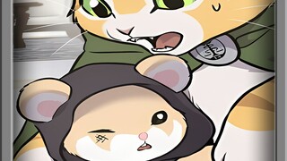 Penyihir terkuat di Menara Hitam, hamster Iona, dipukul beberapa meter jauhnya oleh kucing putih ini