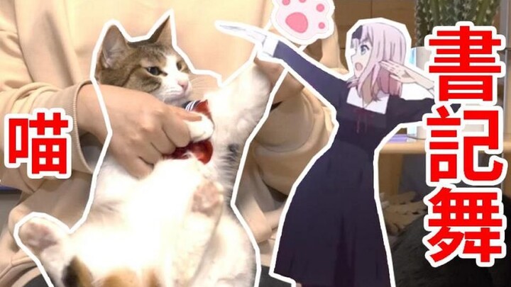[Meow Broadcast]Múa Mèo Dễ Thương Vũ Điệu Thư Ký | Meow Dance | Cat Dance