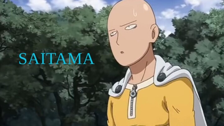 saitamahitthepussy