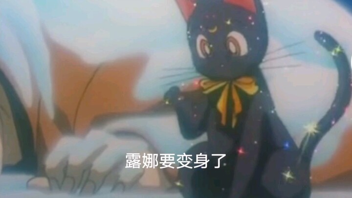 [美少女战士]露娜猫变身后什么样？