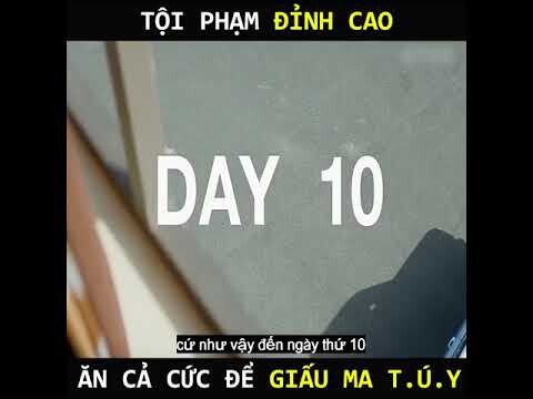 Thử thách nhịn đi nặng 12 ngày của một anh chàng buôn ma tú.y | Review phim: Trùm ma tú.y 1