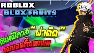 Roblox Blox Fruits ทดลองใช้ผลปีศาจ "โอเปะ-โอเปะ" ตบบอสทุกตัวในแมพ! โกงที่สุดในเกม! (Main World)