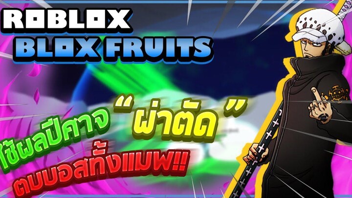 Roblox Blox Fruits ทดลองใช้ผลปีศาจ "โอเปะ-โอเปะ" ตบบอสทุกตัวในแมพ! โกงที่สุดในเกม! (Main World)