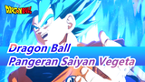 Dragon Ball|[MAD Gambaran Tangan]Pangeran Saiyan Vegeta Yang Bangga