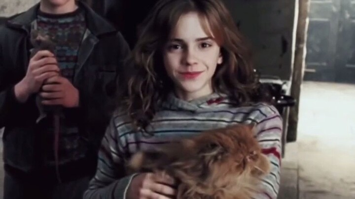 [Harry Potter] The director wanted to use a big shaved head to lower Hermione's appearance, but late