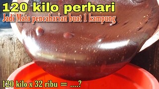 BISNIS DI RUMAH HASIL MELIMPAH!! 1HARI PRODUKSI 120 KG, LEBARAN BISA 700 KG PERHARI | IDE USAHA 2022