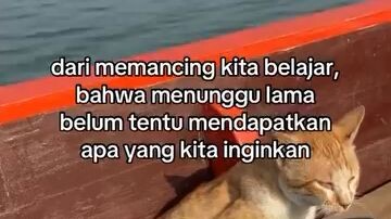 YTTA