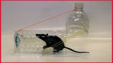 Water Bottle Mouse Trap, What A Mouse Super genius 😂
