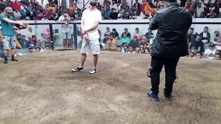 second fight panalo mga idol