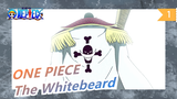 [ONE PIECE/Whitebeard] Blast The Whole Father's Day_1