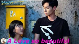 นอกใจโอปป้า มารีวิวซีรีส์จีน  A Love So Beautiful | ติ่งรีวิว