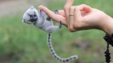 10 Cutest Exotic Animals In The World.