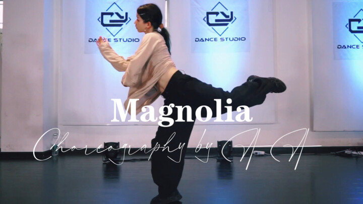 【AA编舞】Magnolia 久违的水系 延伸控制系编舞