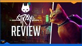 I recommend: Stray (Review)