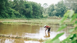 Mò cua bắt ốc Mẹ vất vả lặn lội ngoài đồng nuôi con khôn lớn I Ẩm Thực Mẹ Làm