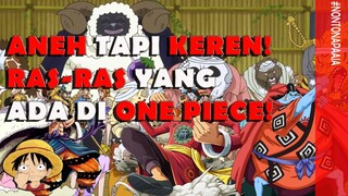 INI DIA Ras-ras dan Suku-Suku Lain yang Ada di Dunia One Piece!