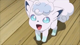 Alolan Vulpix { AMV } Tik Tok