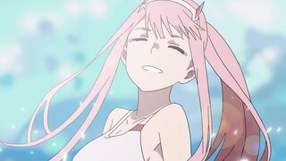 [ Darling in the franxx ] Đây có phải là vợ tôi không? Tôi yêu nó rất nhiều