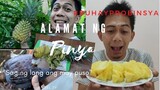 Harvest ng Pinya at Puso ng Saging | Buhay Probinsya | Angel Openiano