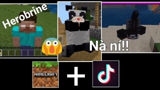 Những video Tik Tok độc đáo và thú vị về Minecraft phần 17